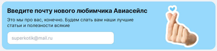 screenshot of the filling form on the website